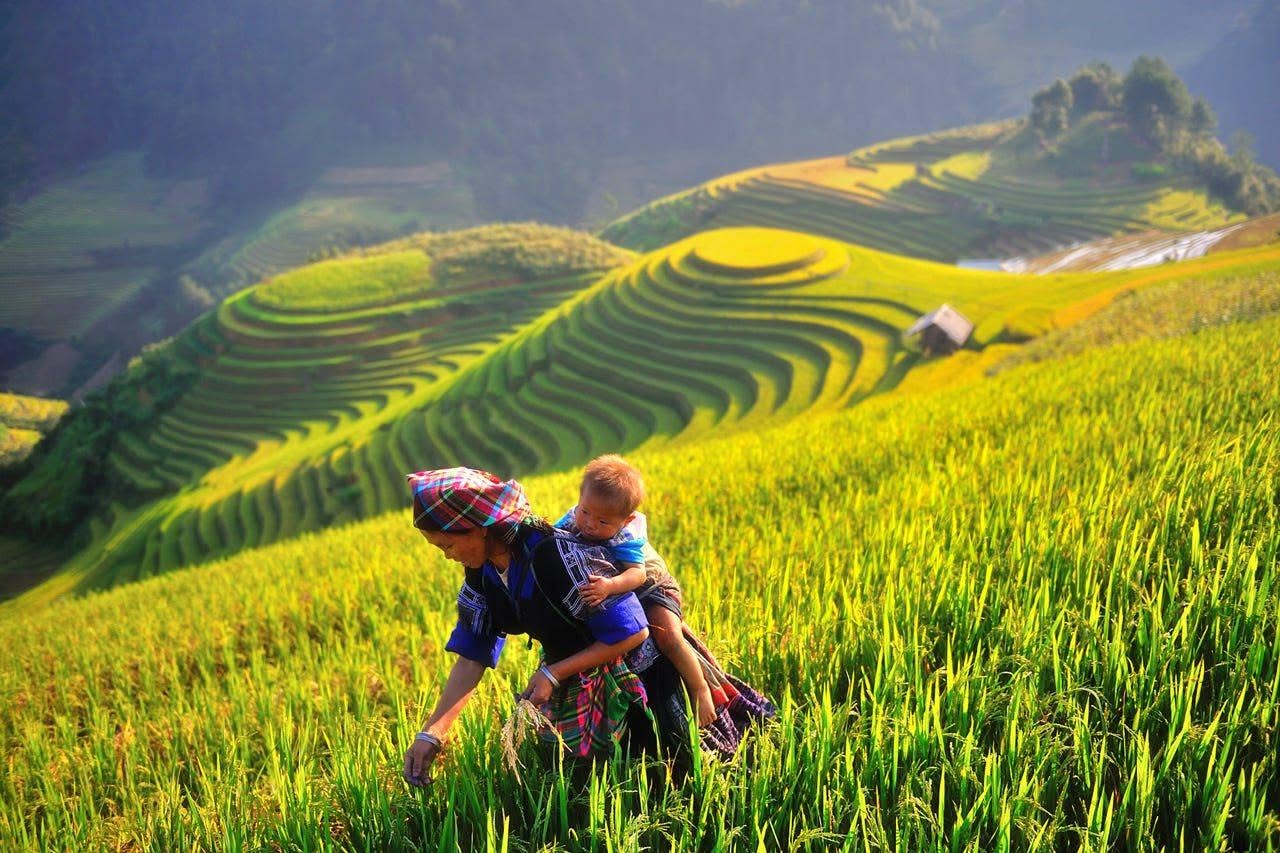 26-Day Private Indochina Tour Led By Local Women 26-Day Private Indochina Tour Led By Local Women