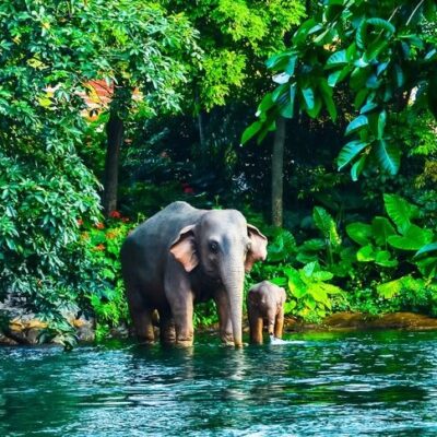8-Day Private Isaan Thailand Tour Led by Women