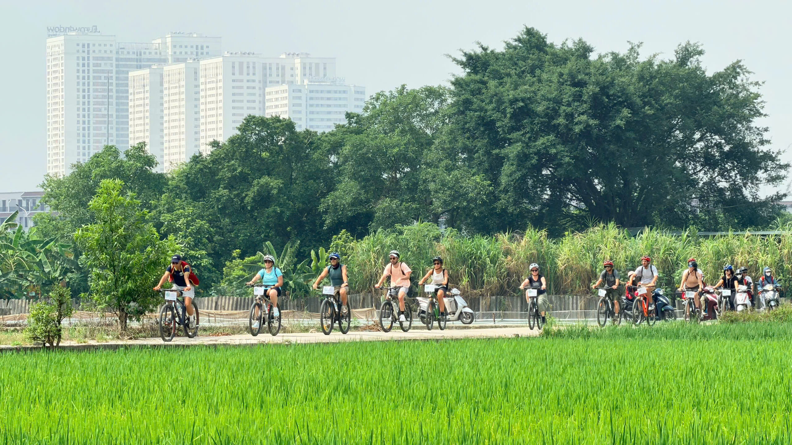 Hoi An Cycling with Cooking Class Private Tour Led By Women Hoi An Cycling with Cooking Class Private Tour Led By Women