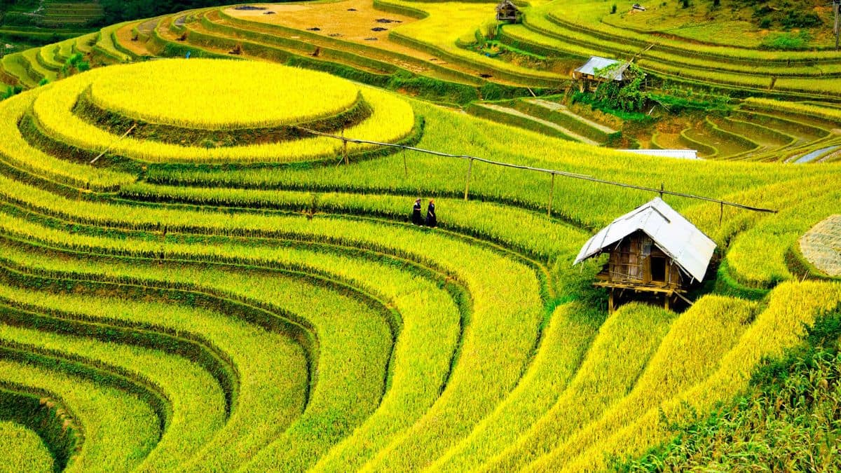 13-Day Vietnam Grand Discovery Private Tour Led By Women 13-Day Vietnam Grand Discovery Private Tour Led By Women
